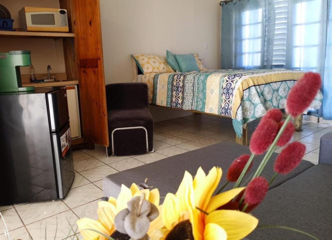 Ridgeway Guest House Montego Bay Luaran gambar